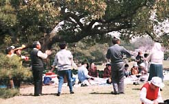 hanamino-en