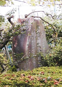 엜˔Vn